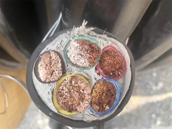 阻燃動(dòng)力電纜圖片/阻燃動(dòng)力電纜樣板圖 (2)