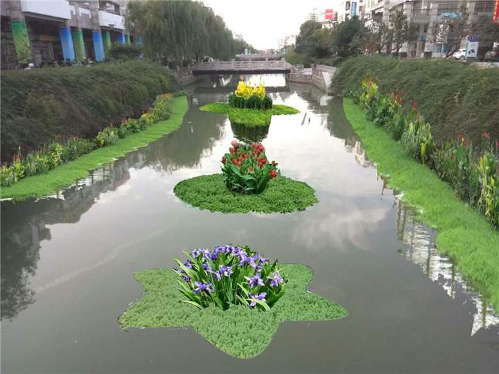 批发武汉水生植物浮岛供应  武汉水生植物浮岛价格图片