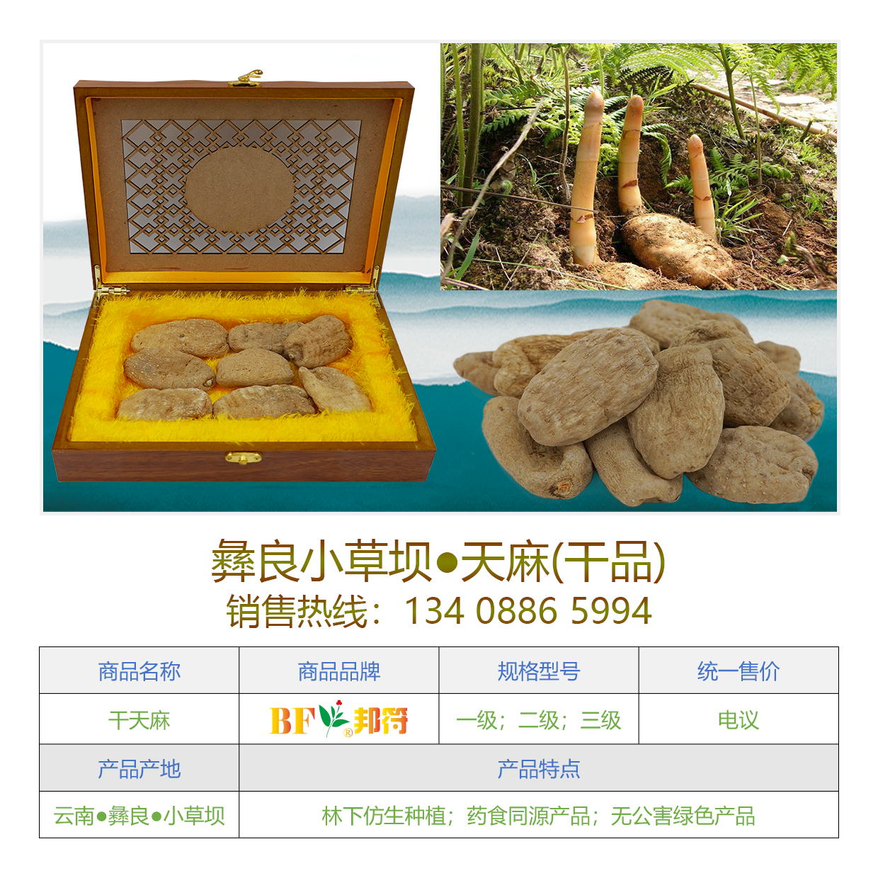 邦符牌彝良小草坝天麻（干品）图片