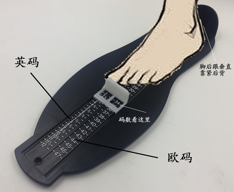 英码成人量脚器欧码成人量脚器 英码欧码量脚器 亚马逊同款