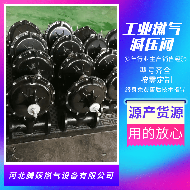 RTZ50燃气减压阀供应商哪家好_销售电话【河北腾硕燃气设备有限公司】图片