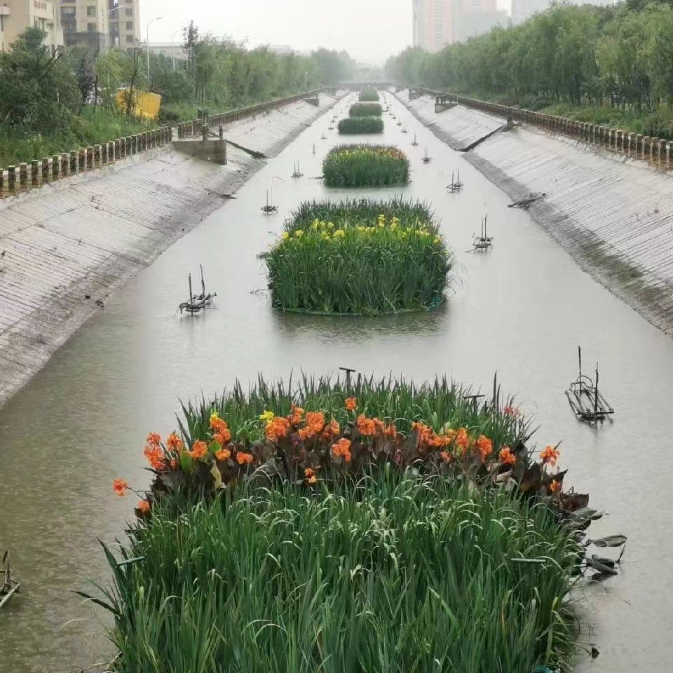 河北潜流湿地供应商_生态潜流湿地价格_潜流式人工湿地【河北雄安咏莲园林绿化工程有限公司】