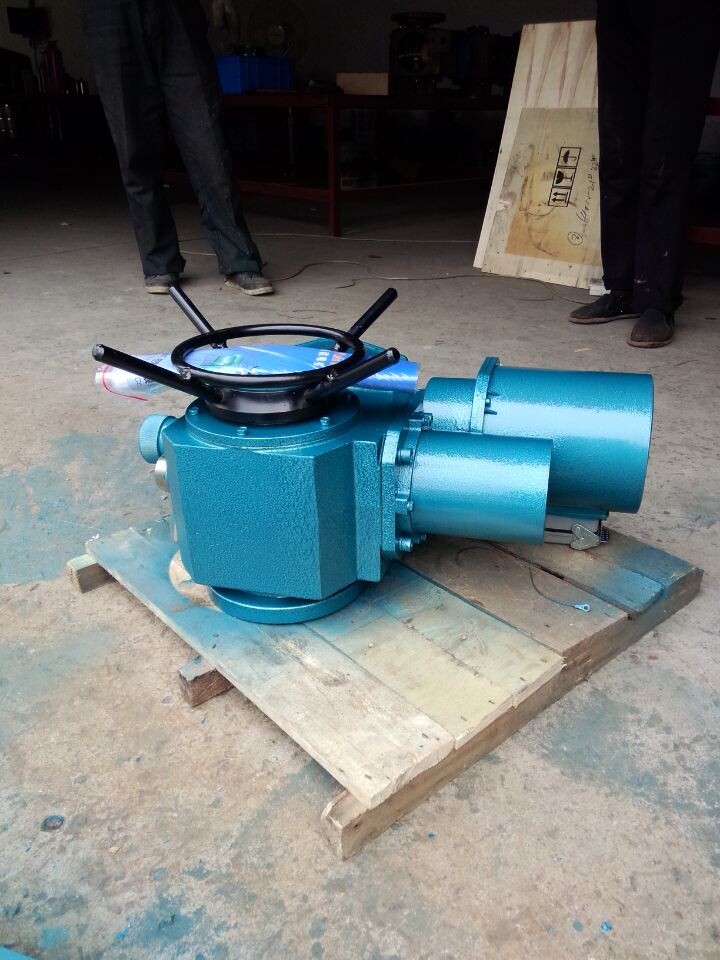 DZW30-24-A00-WK圖片