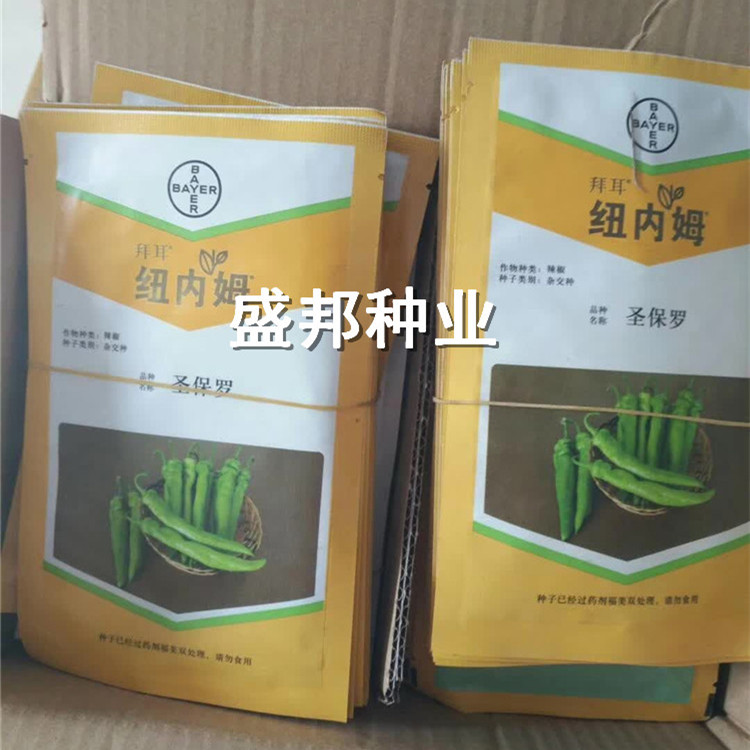 圣保罗辣椒苗 大羊角 中早熟品种  黄绿皮辣椒种子种苗 圣保罗尖椒苗图片