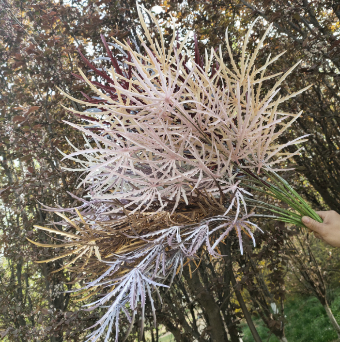 仿真植物图片/仿真植物样板图 (3)