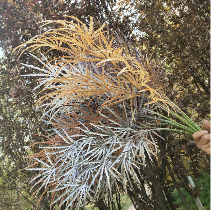 仿真植物图片/仿真植物样板图 (2)