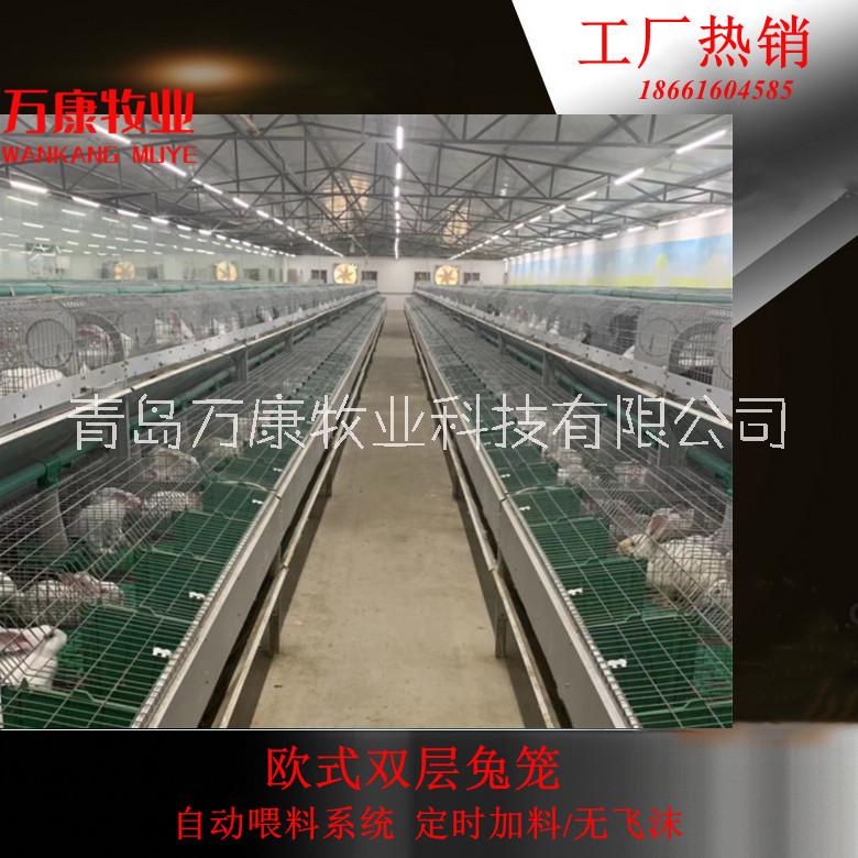 自动喂料欧式多层兔子养殖笼 兔子子母一体笼具 自动喂料欧式双层兔笼