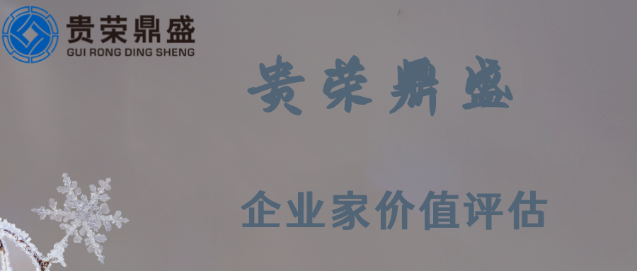 企業(yè)家價值評估圖片