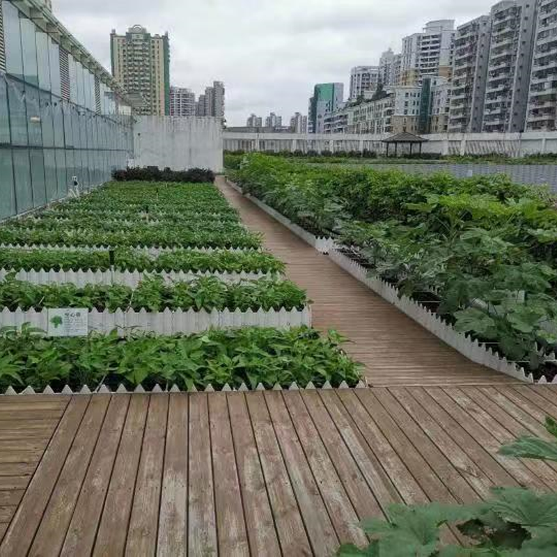 供应屋顶轻质土种植土适用于月季蔷薇促进植物生长营养土图片