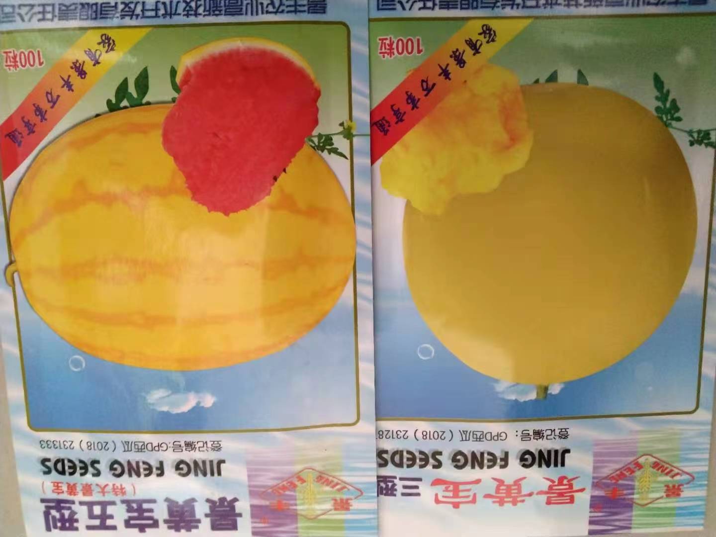 黃皮紅肉西瓜種子銷售