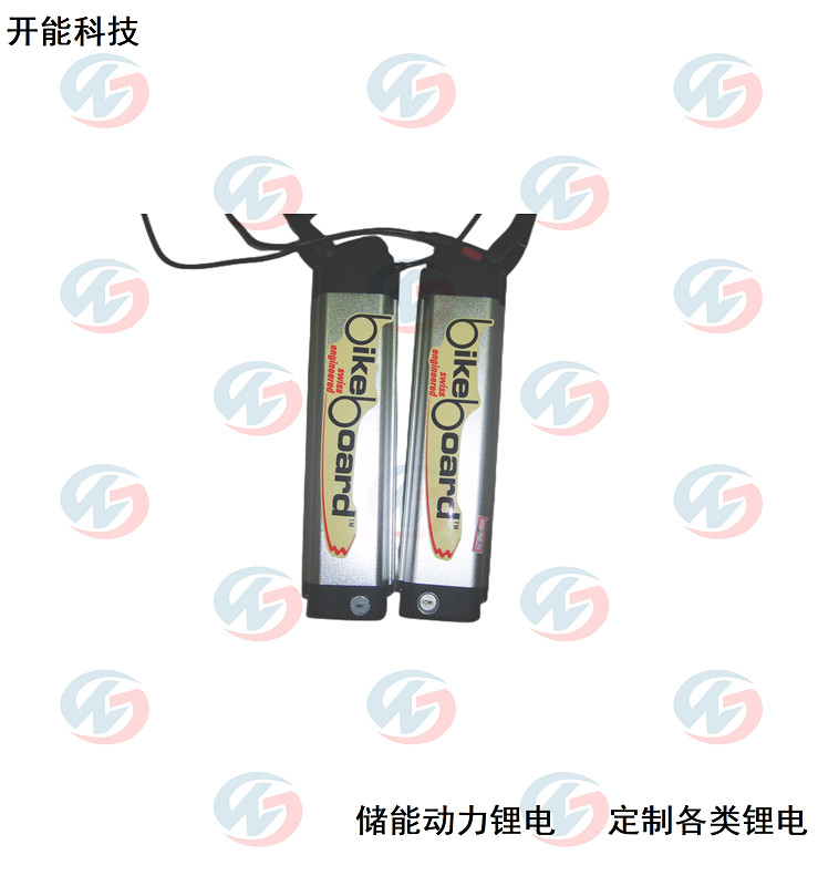 2个1对 铁锂锂电池 24V10A 银鱼款板车锂电