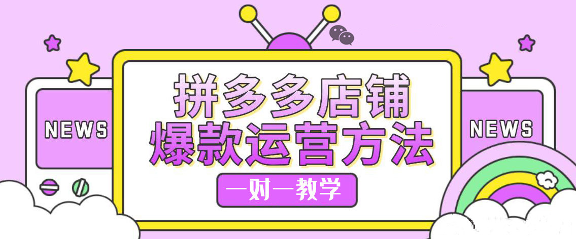 无货源店群运营招商拼多多店群软件代理贴牌，全国店群工作室加盟