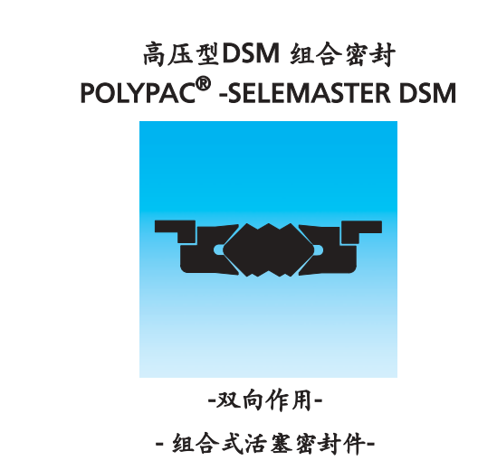 宝色霞版特瑞堡DSM 活塞封图片