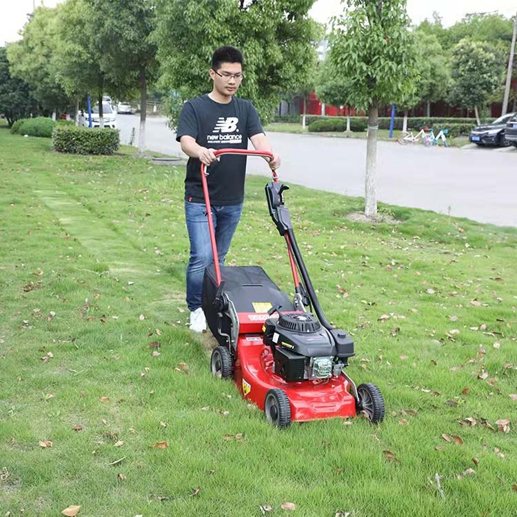 21寸三档变速自走式草坪机 HRJ216本田手推除草机图片