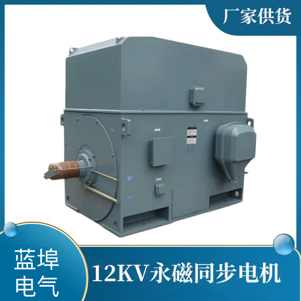 三相高压6KV-12KV电机厂家价格、哪里有、批发商、销售价格 同步发电机 伺服电动机图片