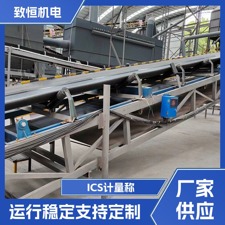 ICS计量称 平稳下料 支持定制 结构合理 维护方便图片