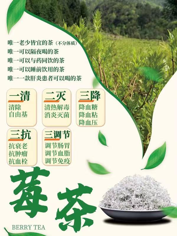 长沙市清肺茶保肝茶莓茶张家界莓茶白茶藤茶厂家