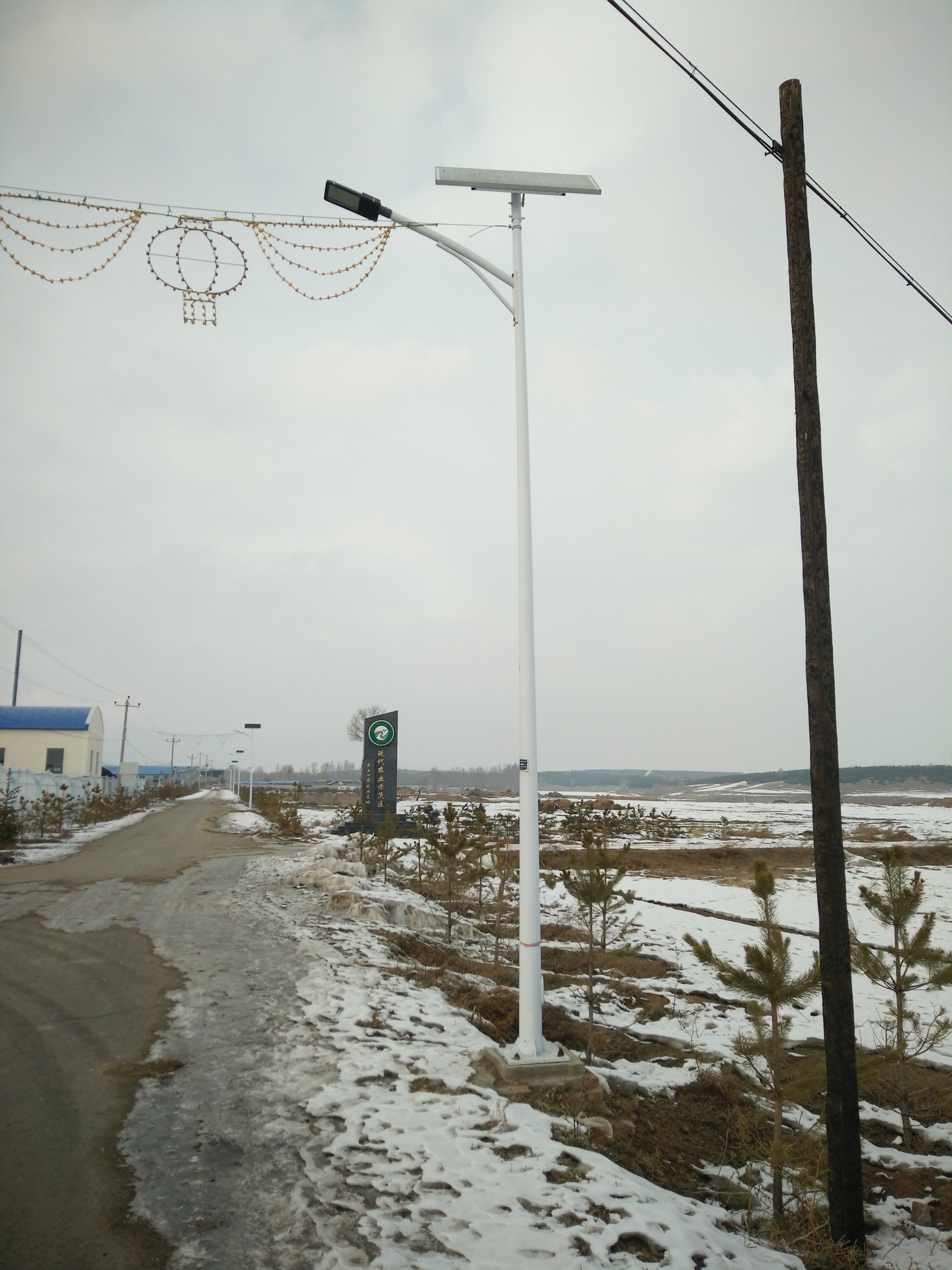 衡水太阳能路灯 衡水太阳能路灯庭院灯  衡水太阳能路灯LED路灯