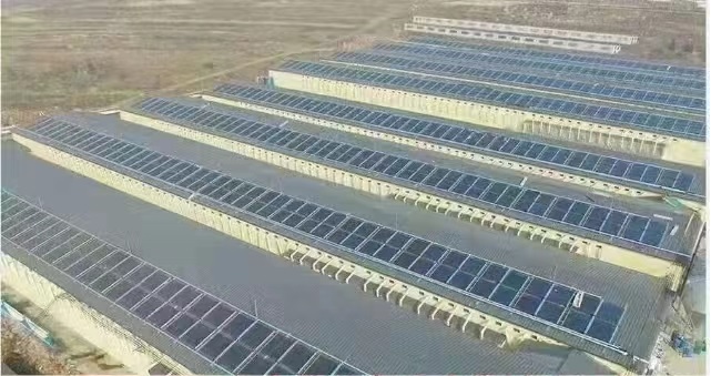 太阳能集中热水工程河北 承接大型太阳能集中热水工程_太阳能联箱热水工程报价