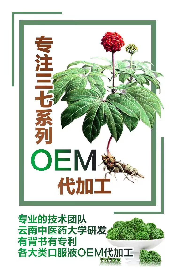 云南三七花茎叶饮品OEM代加工厂家图片