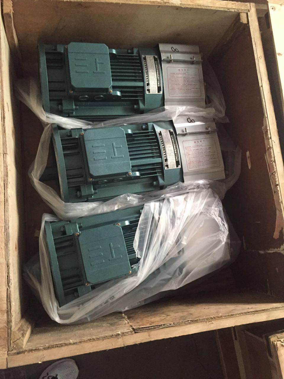 施工電梯圖片/施工電梯樣板圖 (2)