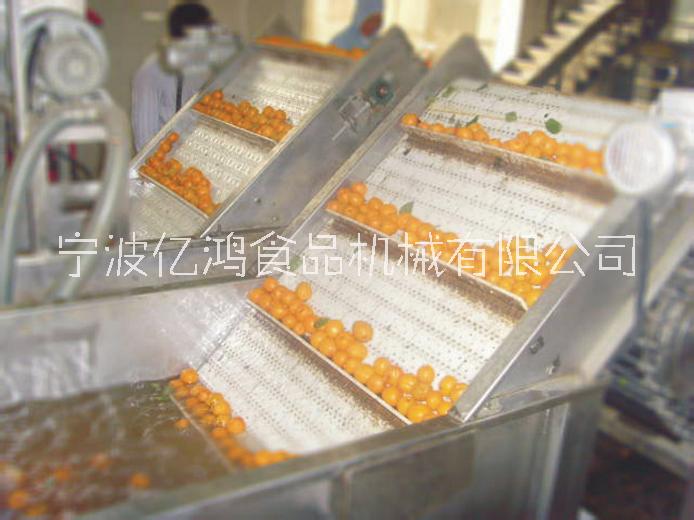 宁波黄桃罐头生产线厂家-价格-供应-定制图片