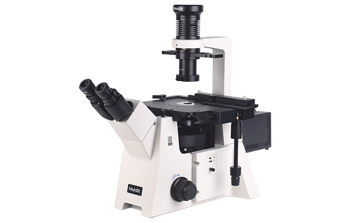 熒光顯微鏡圖片/熒光顯微鏡樣板圖 (1)