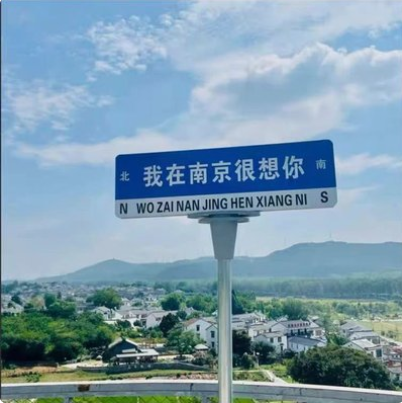 南京网红路牌定制，网红路牌制作，我在南京很想你路牌，道路路名牌定做图片