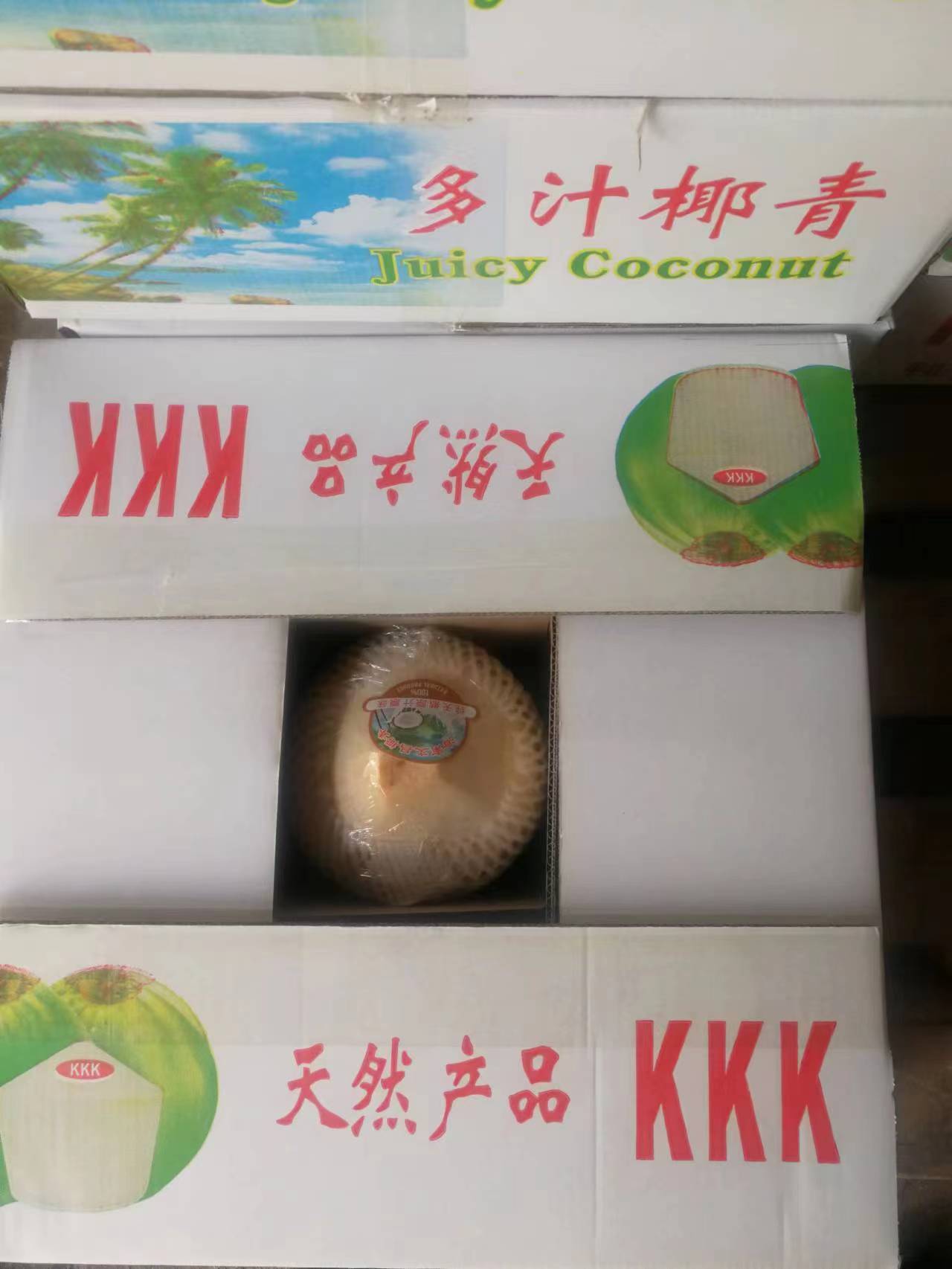 天然椰子圖片