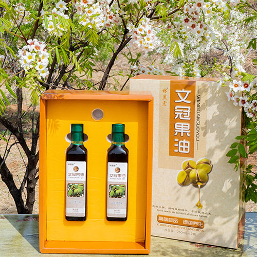 售賣文冠果油  供應(yīng)文冠果油圖片