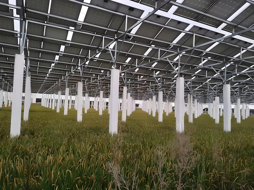 光伏電站圖片/光伏電站樣板圖 (3)