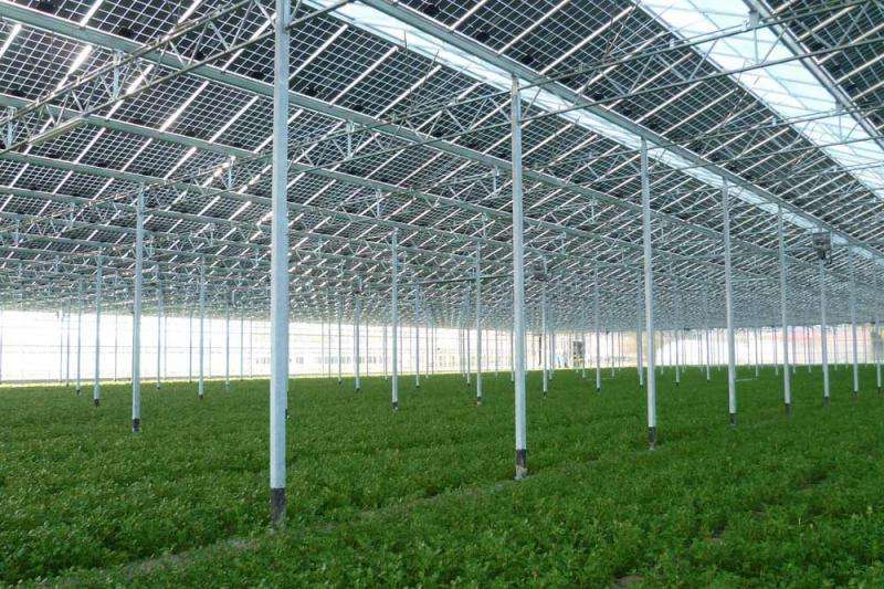 太陽(yáng)能農(nóng)光互補(bǔ)電站圖片