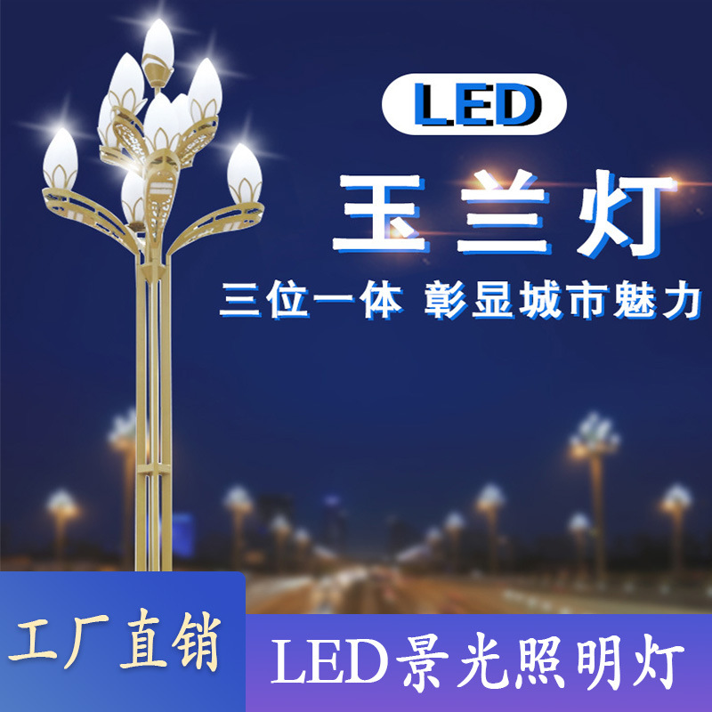 厂家大型led玉兰灯仿古中华灯户外广场市政工程道路景观灯图片