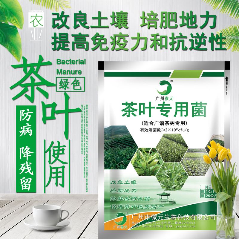 茶叶微生物菌肥功能菌 复合芽孢杆菌 改良土壤促进茶芽萌发图片