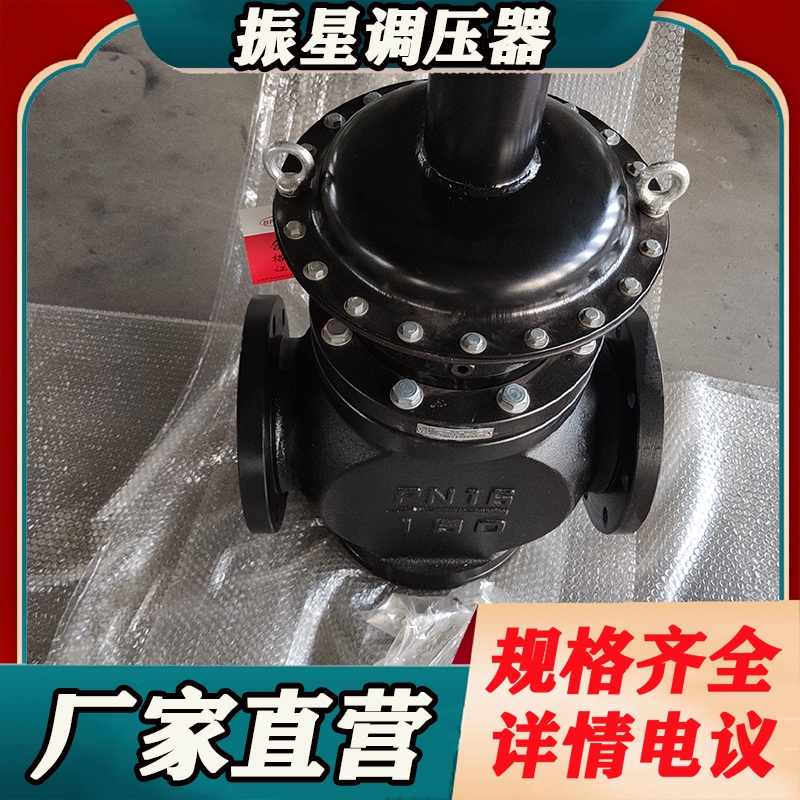 河北RTZ-1.6ASD系列调压器多少钱，RTZ-1.6ASD系列调压器哪家好，RTZ-1.6ASD系列调压器批发图片