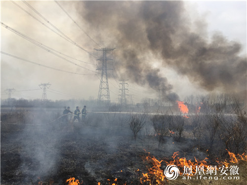 特力康TLKS输电线路通道防山火隐患治理预警系统图片