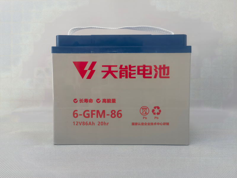 天能6-GFM-86图片/天能6-GFM-86样板图 (4)