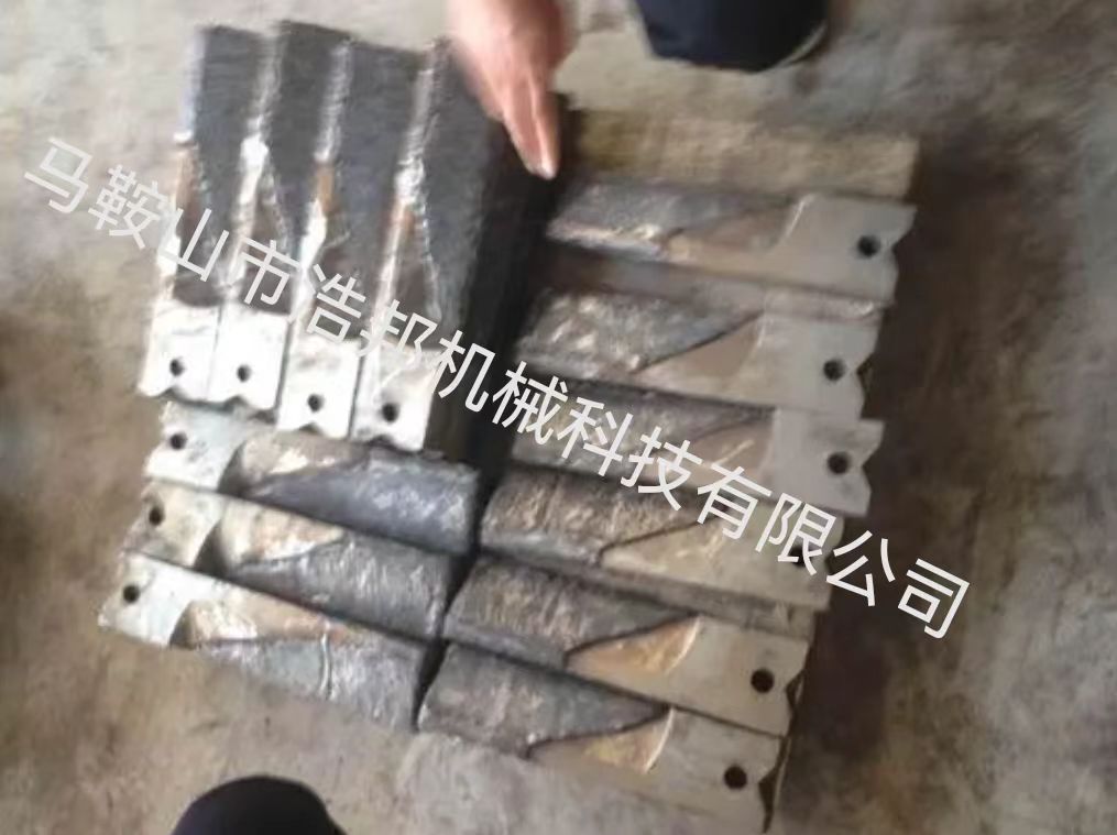 愛立許EIRICH強(qiáng)力混合機(jī)RV24型葉片圖片