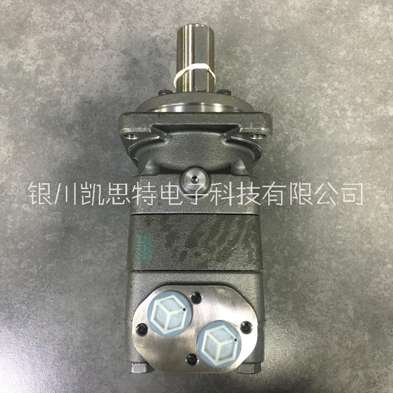 丹佛斯馬達(dá) OMT400151B3004圖片