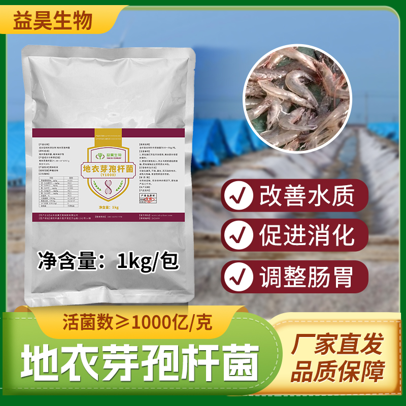 地衣芽孢杆菌水产饲料添加剂 100-2000亿含量批发 微生物OEM定制图片