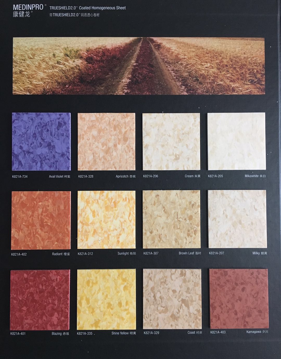 塑膠地板阿姆斯壯康健龍系列學(xué)校場所耐磨防滑阻燃pvc塑膠地板