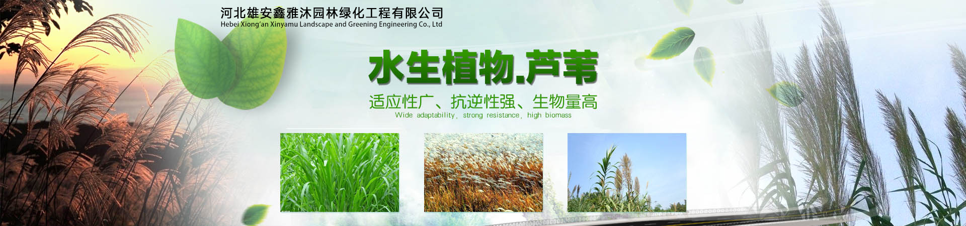 海報(bào)1