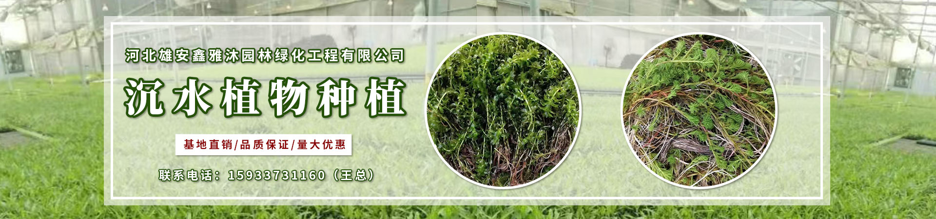 海報4