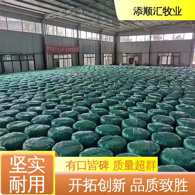 云南牧草批發(fā)價(jià)-供應(yīng)商-直銷-報(bào)價(jià)-電話-多少錢【柳州市添順匯養(yǎng)殖專業(yè)合作社】