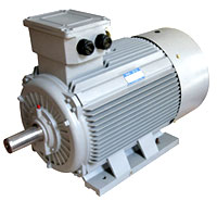 供應(yīng)大連電機(jī)廠1D系列三相異步電動(dòng)機(jī)