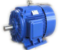 供應(yīng)MD1CH高轉(zhuǎn)差率電動機-大連電機廠