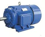 供應(yīng)MD1CH高轉(zhuǎn)差率電動機-大連電機廠