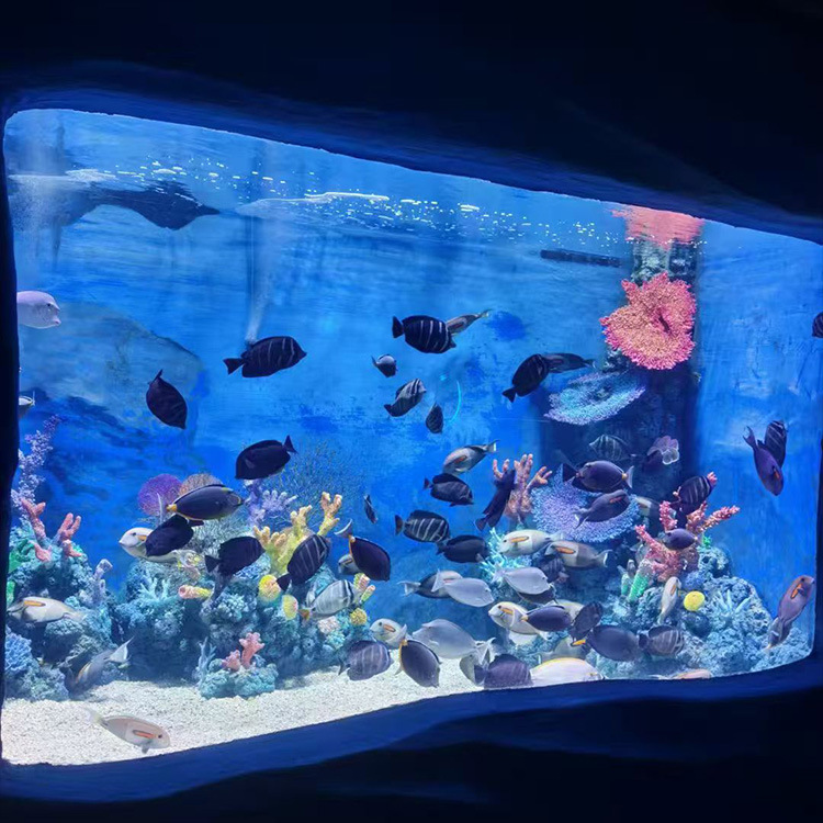 亞克力水族魚缸，定制透明亞克力魚缸 亞克力水族館