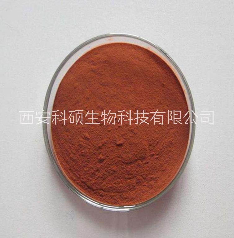 科碩生物葡萄籽提取物95%原花青素