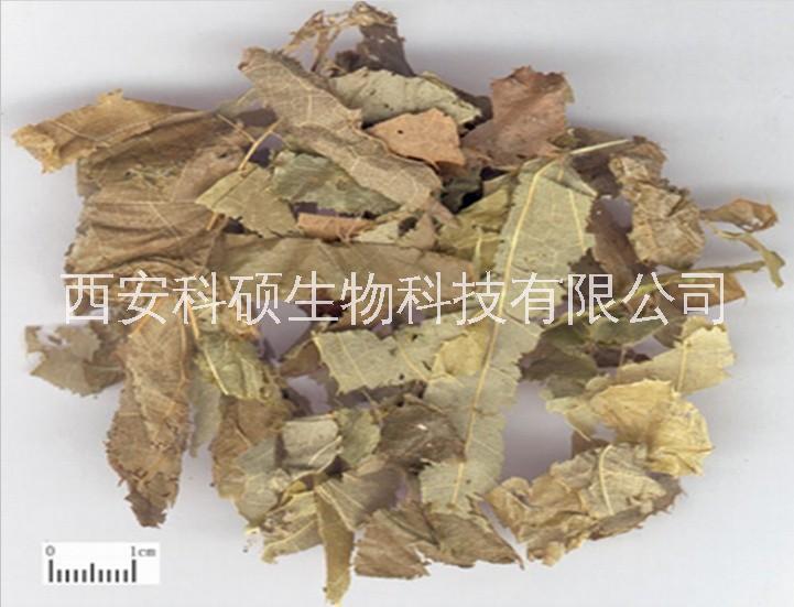 2026年熱銷產(chǎn)品羊藿提取物*羊藿單甙